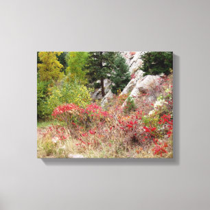 Lienzo Colorado Landscape Series