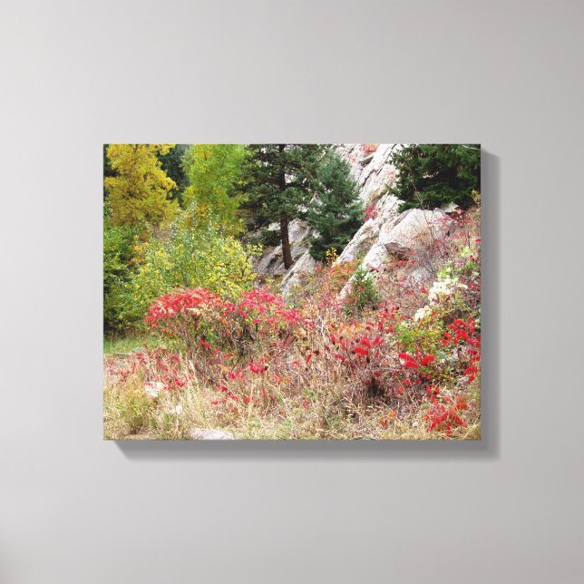 Lienzo Colorado Landscape Series (Anverso)