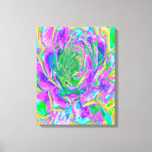 Lienzo Colores arcoiris Fiesta Suculento Sedum Rosette