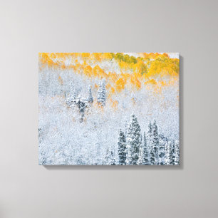 Lienzo Colores de caída de los ápenes   Montañas Rocosas,