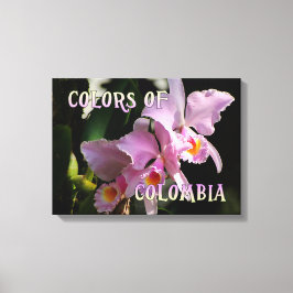 Lienzo Colores de la Orquídea Cattleya de Colombia