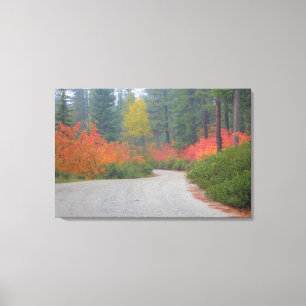 Lienzo Colores de los bosques de otoño en la cascada