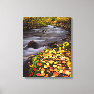 Lienzo Colores de otoño a lo largo de McGee Creek