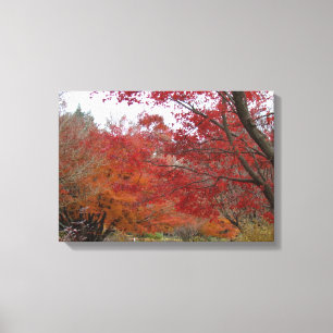 Lienzo Colores de otoño en las montañas Blue Ridge