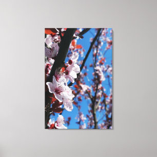 Lienzo Colores de primavera
