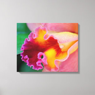 Lienzo Colores orquídeos