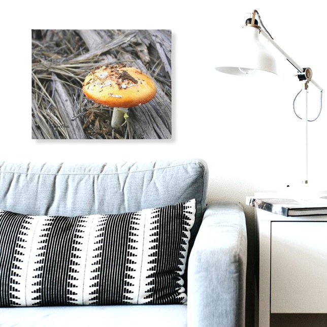 Lienzo Coloridas champiñones se deslizan por la tierra (mushroom photograph canvas print)