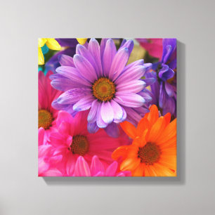 Lienzo Coloridas Flores Daisies Canvas Single