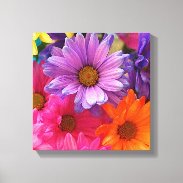 Lienzo Coloridas Flores Daisies Canvas Single (Anverso)