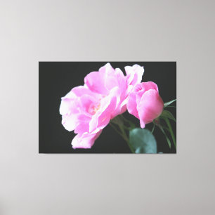 Lienzo Coloridas rosas rosadas brillantes
