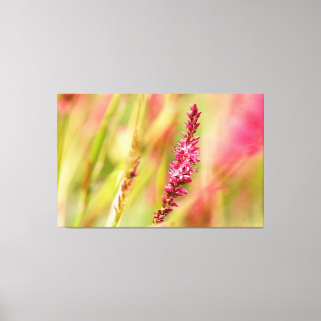 Lienzo colorido (Anverso)