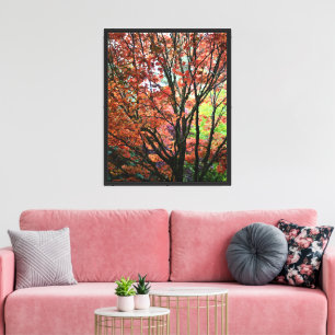 Lienzo Colorido árbol de arce otoñal