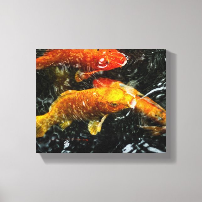 Lienzo Colorido Koi Fish | Chengdu (Anverso)
