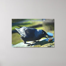 Lienzo Comer chaquetas