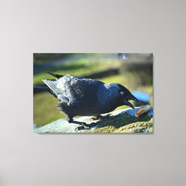 Lienzo Comer chaquetas (Anverso)