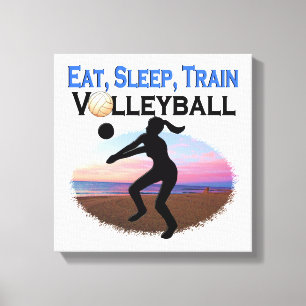 LIENZO COMER, DORMIR, VOLEIBOL DE TREN