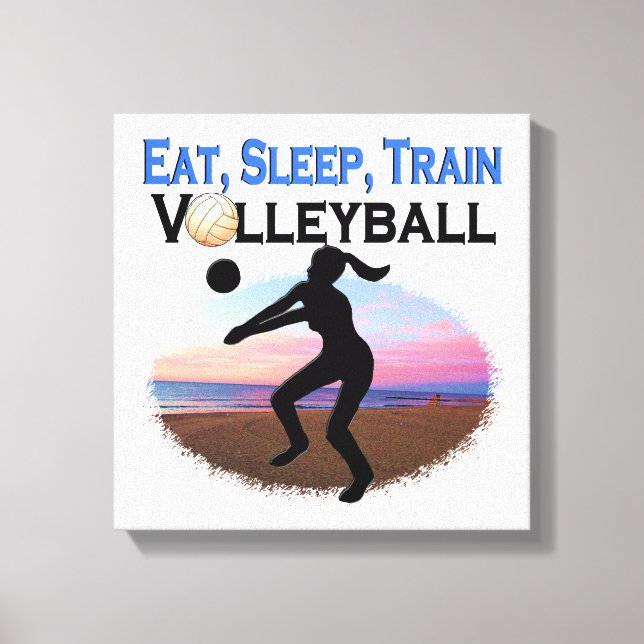 LIENZO COMER, DORMIR, VOLEIBOL DE TREN (Anverso)