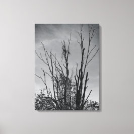 Lienzo Como las cenizas de un Fénix