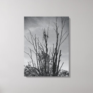 Lienzo Como las cenizas de un Fénix