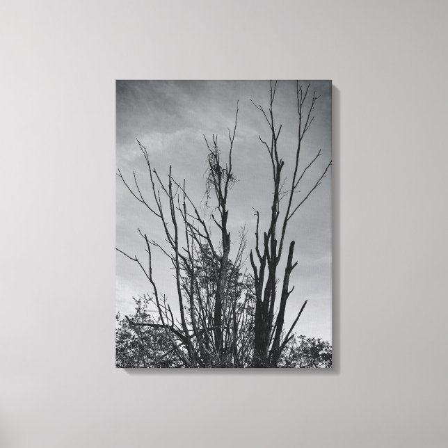 Lienzo Como las cenizas de un Fénix (Anverso)