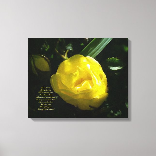 Lienzo Como luz suave en una rosa amarilla (Anverso)