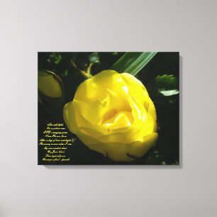 Lienzo Como luz suave en una rosa amarilla