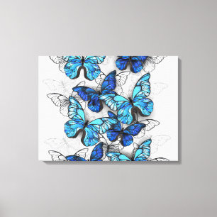 Lienzo Composición de las mariposas blancas y azules