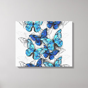 Lienzo Composición de las mariposas blancas y azules