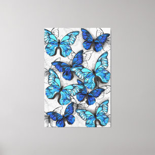 Lienzo Composición de las mariposas blancas y azules