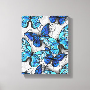 Lienzo Composición de las mariposas blancas y azules