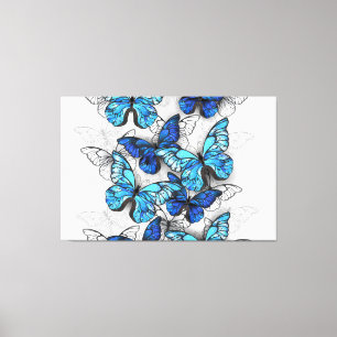 Lienzo Composición de las mariposas blancas y azules