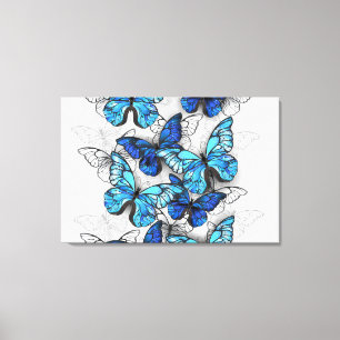 Lienzo Composición de las mariposas blancas y azules