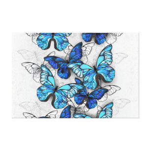 Lienzo Composición de las mariposas blancas y azules
