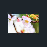Lienzo Composición Floral Natural De Las Flores De Sakura<br><div class="desc">Composición artística floral natural de flores de sakura, brotes, hojas sobre el fondo liso de color verde, rosa pálido y blanco. Una pintura digital extra grande de una fotografía. Impresión de lienzos floridos y estirados para decorar tu lugar o para ser usados como regalo para bodas, cumpleaños, duchas de bebé...</div>
