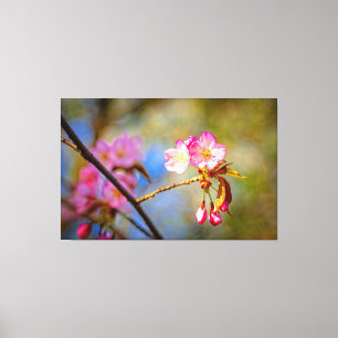 Lienzo Composición Natural De Las Flores De Sakura En Pri