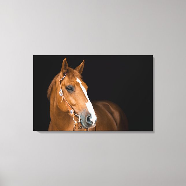 Lienzo con foto de hermoso caballo cuarto de milla (Anverso)