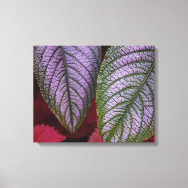 Lienzo con hojas moradas y rojas (Anverso)
