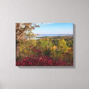 Lienzo con vista al lago pepin desde frontenac state park