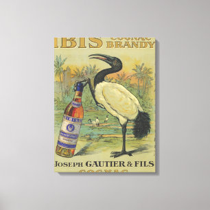 Lienzo Coñac de Ibis - José Gautier y promo de Fils