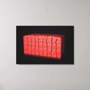 Lienzo Concepto del epitelio estratificado 2 de Squamous