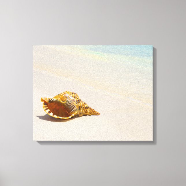 Lienzo Conch Shell En La Playa 3 (Anverso)