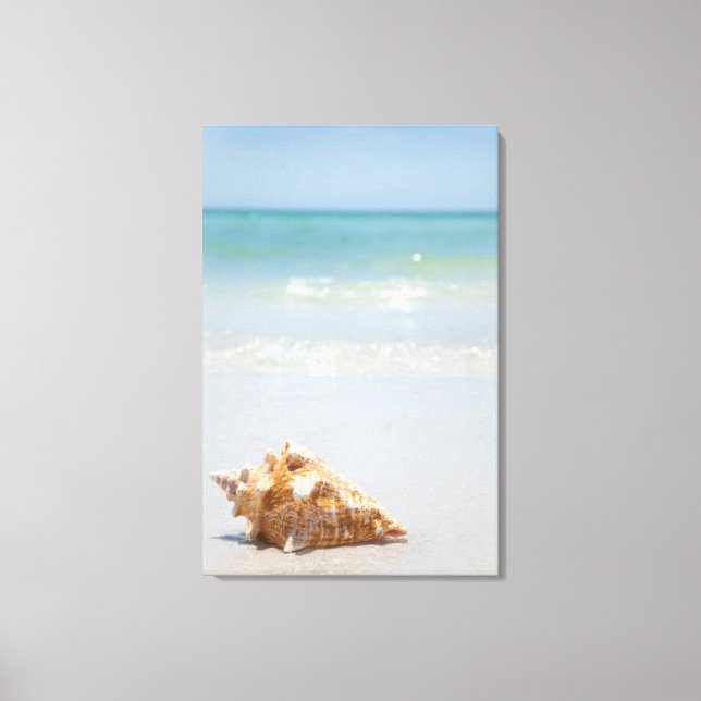 Lienzo Conch Shell En La Playa | Florida, San Petersburgo (Anverso)