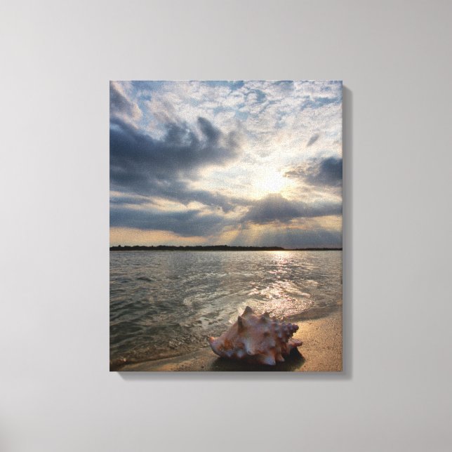 Lienzo Conch Shell En La Playa | St. Augustine, Fl (Anverso)