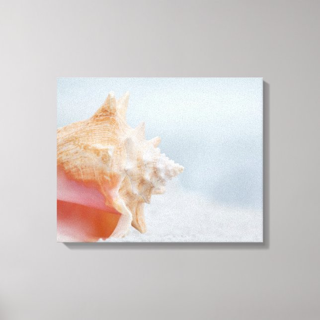 Lienzo Conch Shell | Florida (Anverso)