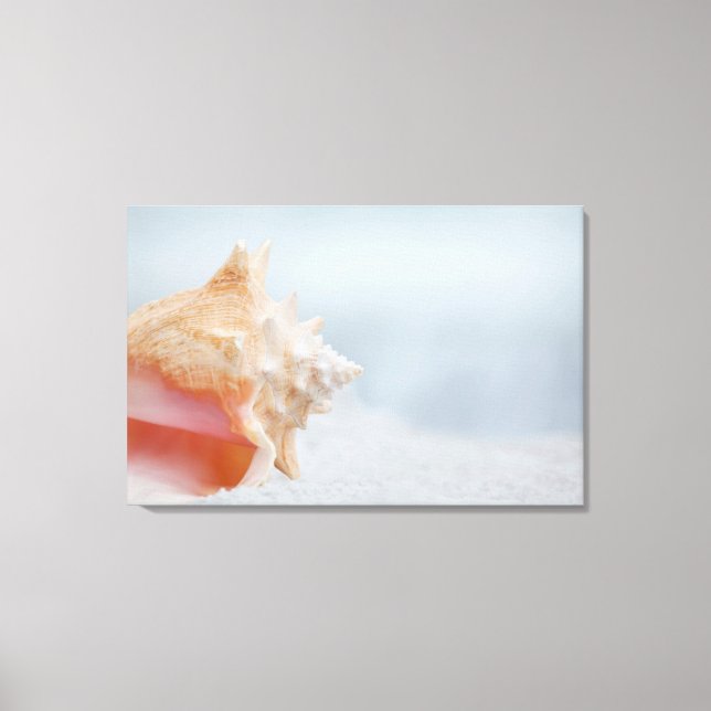 Lienzo Conch Shell | Florida (Anverso)
