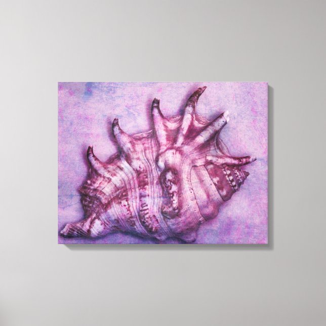 Lienzo Concha con problemas (Anverso)