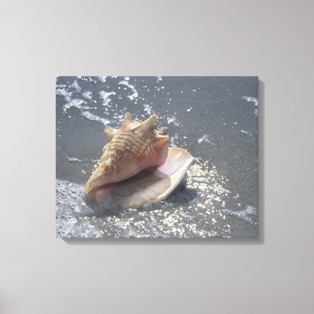 Lienzo Concha De Mar En La Playa | Isla Sanibel, Florida (Anverso)