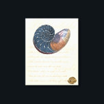 Lienzo Concha de mar romántica<br><div class="desc">¿Vives lejos de la playa? Sin más. Consigue esta romántica pintura de conchas marinas para que puedas imaginarte sentado en una playa tranquila en un cálido día soleado. Esta obra de arte idealiza el mar y las pequeñas olas que te dejarán ansioso por visitar la playa. Obtén este panel de...</div>