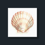 Lienzo Concha de mar rosa y crema<br><div class="desc">A Megan Meagher le encanta pintar fotos de las hermosas colecciones de los océanos. Capta las ofertas más naturales pero hermosas de la naturaleza en la vida marina. En esta pintura clásica y sencilla, se respira la sencillez de una bonita concha de color crema y rosa. Obtén hoy esta obra...</div>