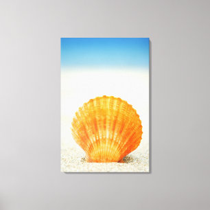 Lienzo Concha de peregrino Shell anaranjada que se coloca